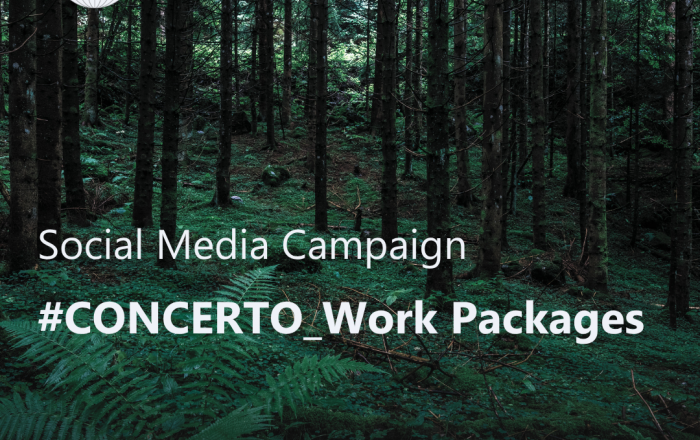 CONCERTO launches its first social media campaign: Spotlight on the Work Packages