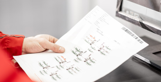 New study reveals adaptive declines in leaf nitrogen under rising CO₂