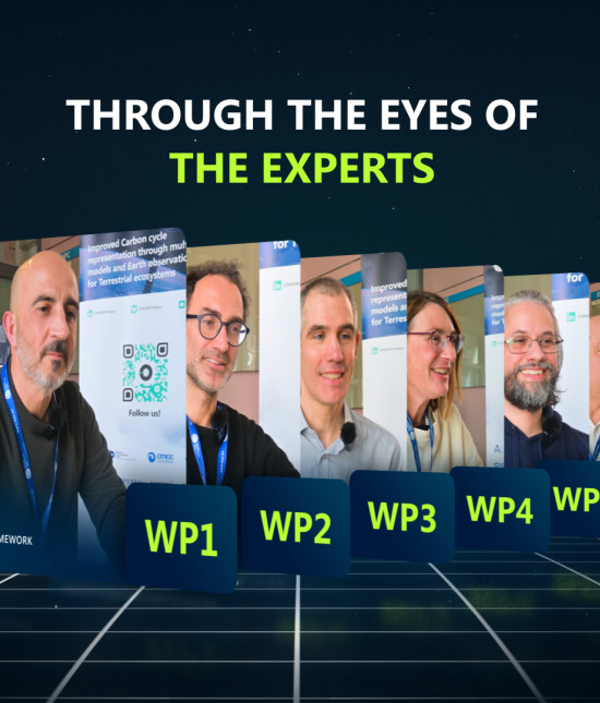 CONCERTO Launches New Video Series “Through the Eyes of the Experts”