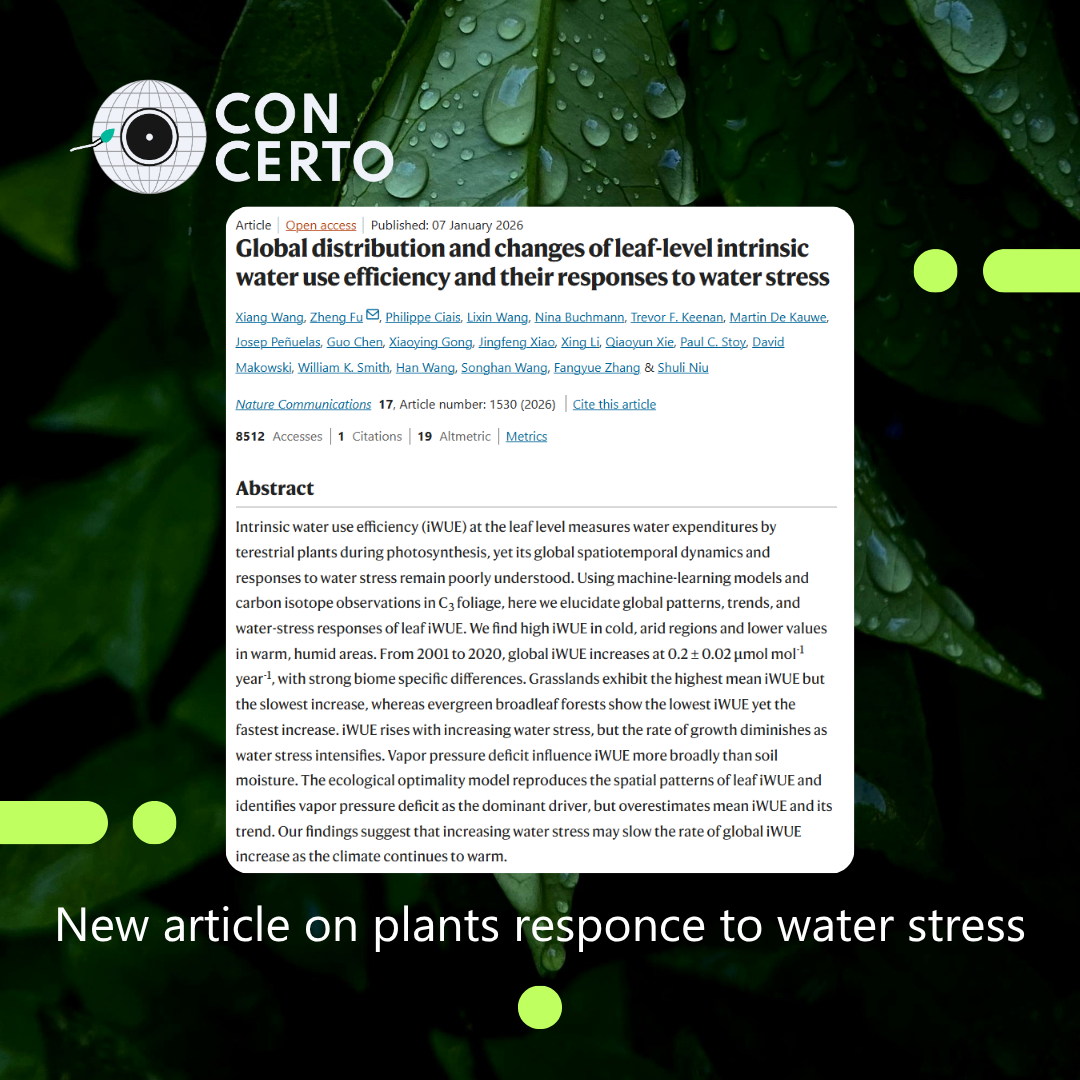 New study reveals how plants worldwide respond to increasing water stress