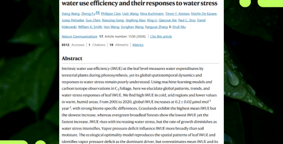 New study reveals how plants worldwide respond to increasing water stress