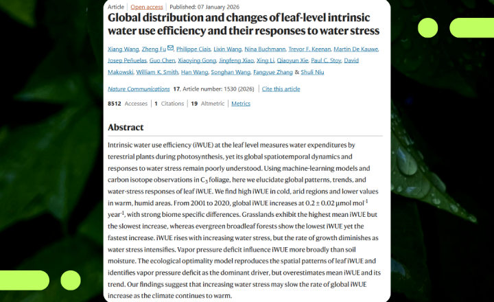 New study reveals how plants worldwide respond to increasing water stress