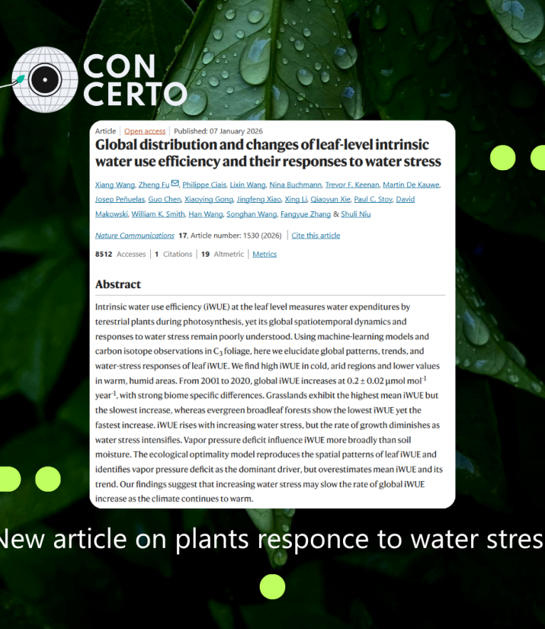New study reveals how plants worldwide respond to increasing water stress